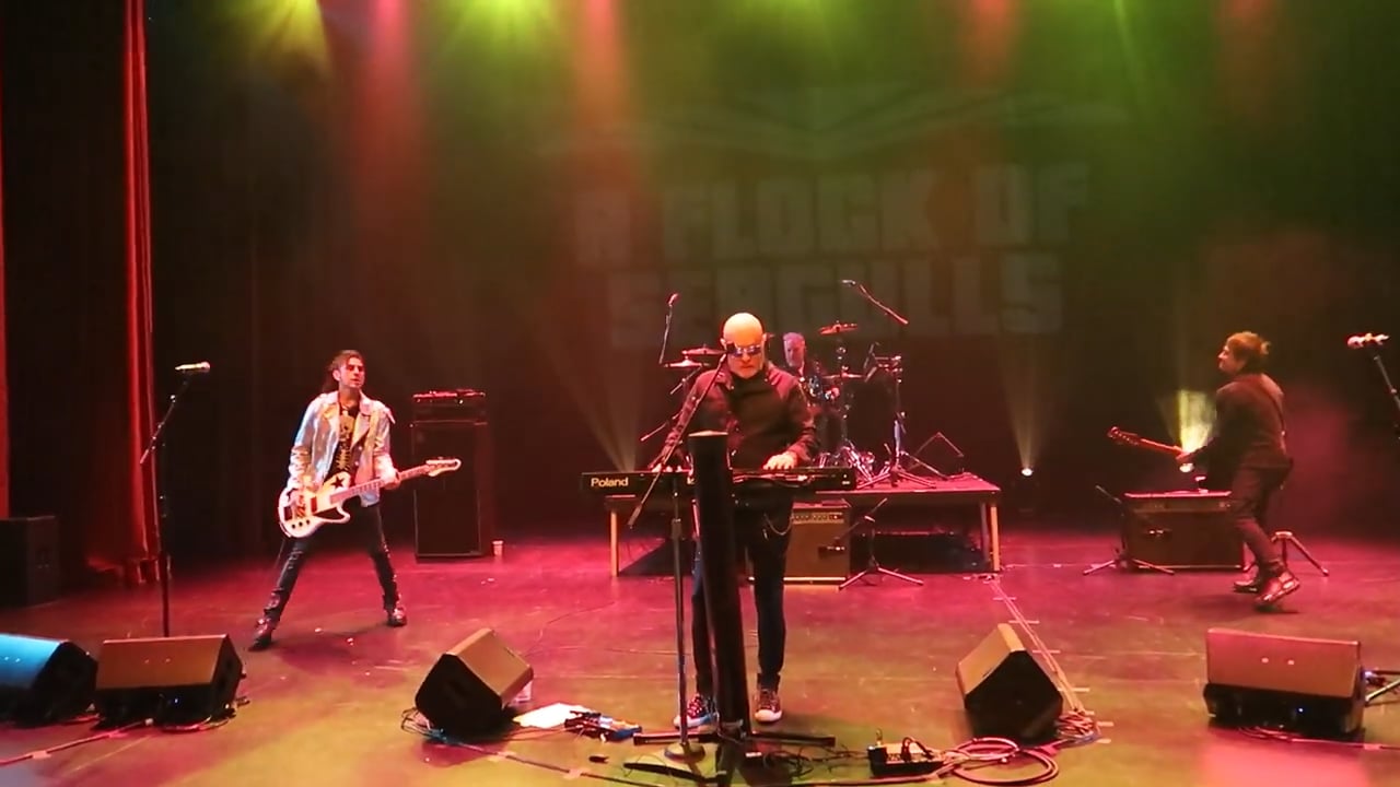 A_Flock_of_Seagulls (15)
