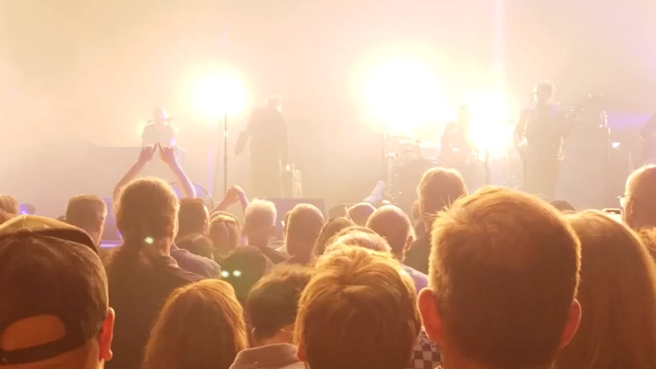 echo and the bunnymen (4)
