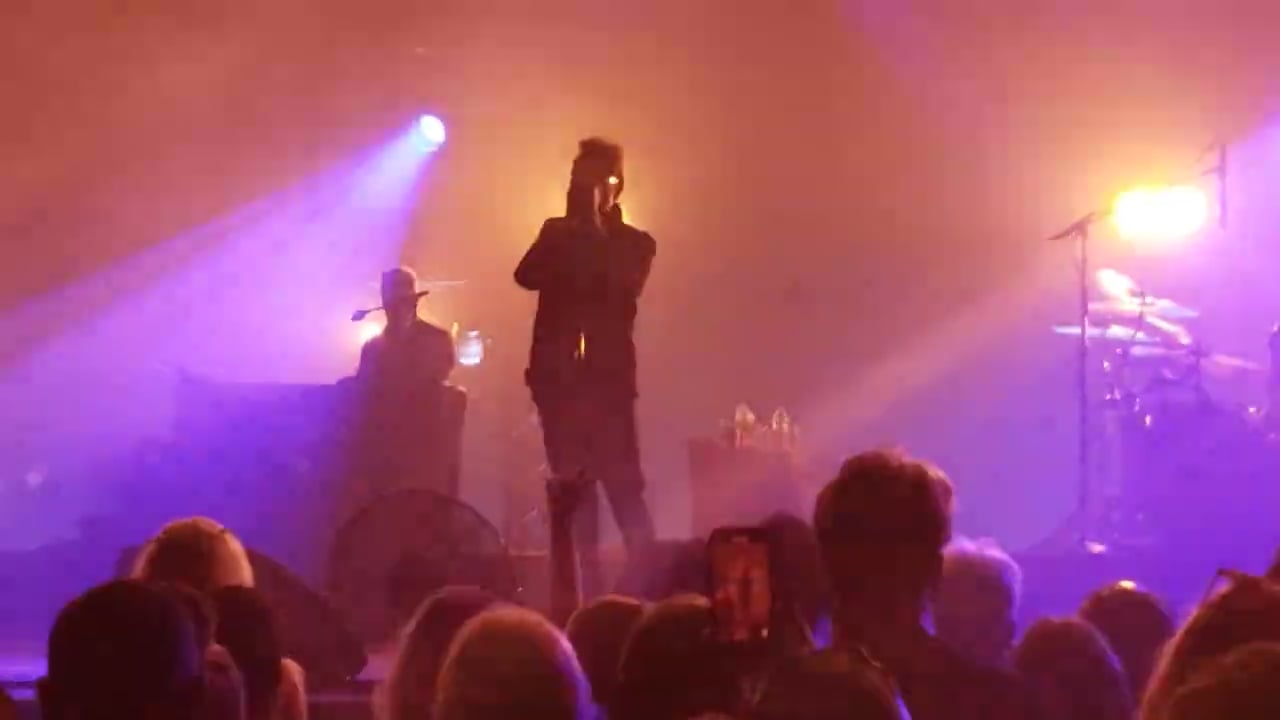 echo and the bunnymen (6)
