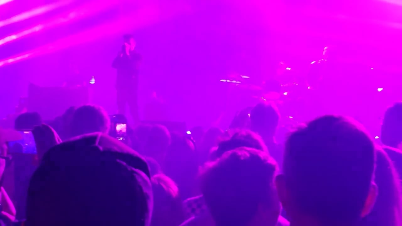 echo and the bunnymen (7)
