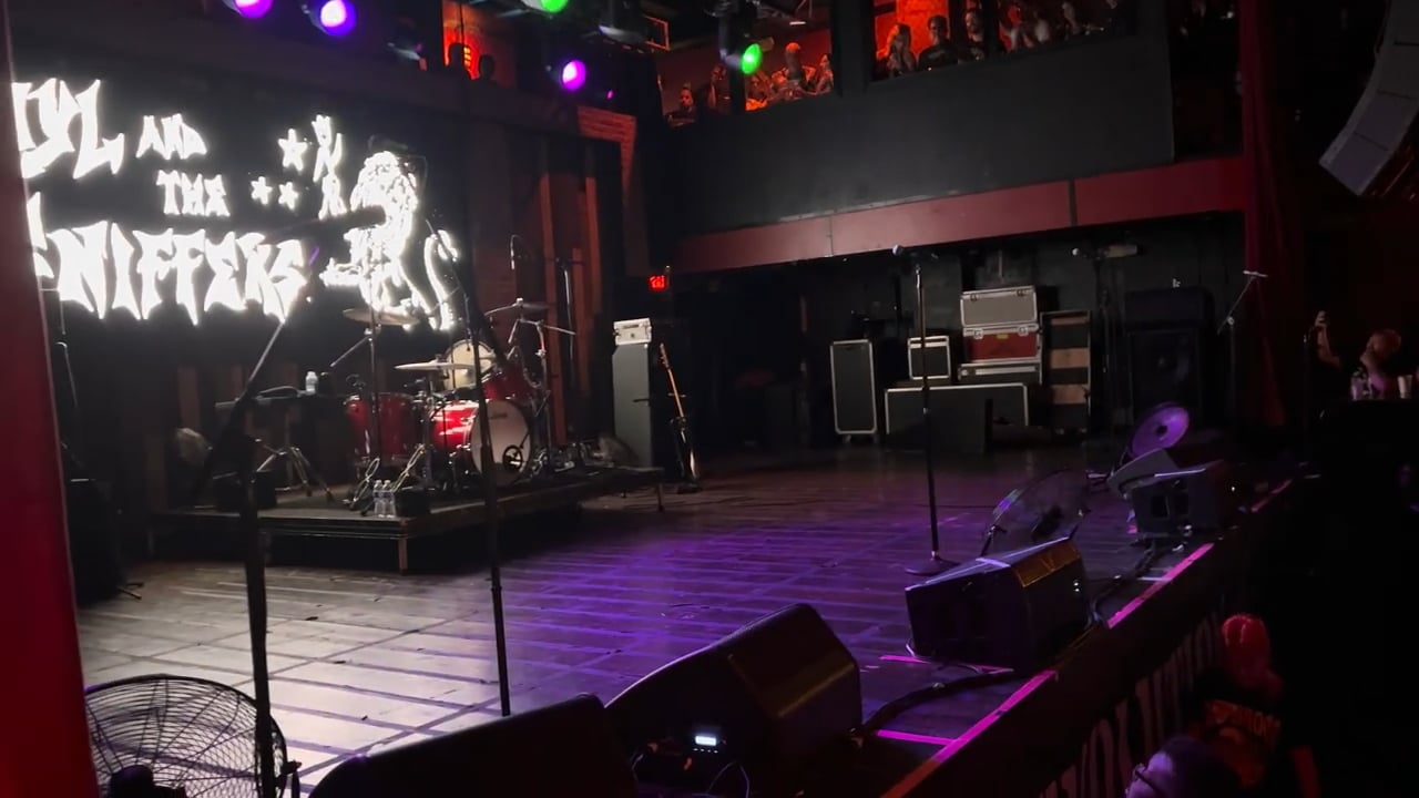 Amyl_and_the_Sniffers_6
