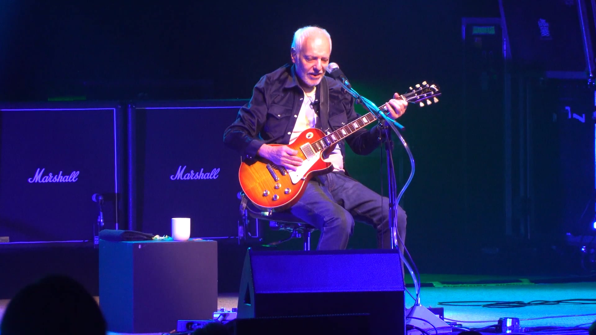 Peter Frampton – Cobb Energy Centre, Atlanta, GA (2032)

