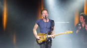 Sting-20.jpg