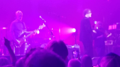 Pulp_toronto_281329.png