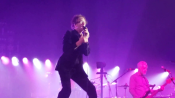 Pulp_toronto_281529.png