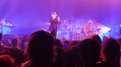 Pulp_toronto_281729.png