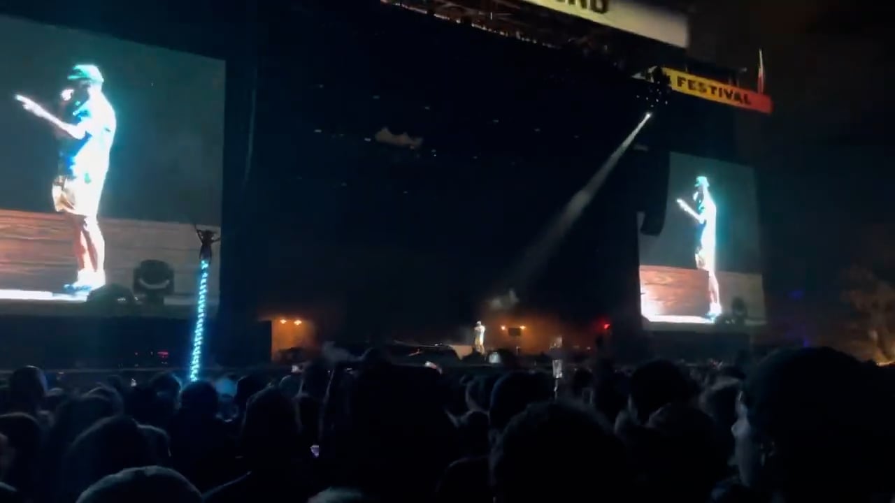 Tyler the Creator (12)
